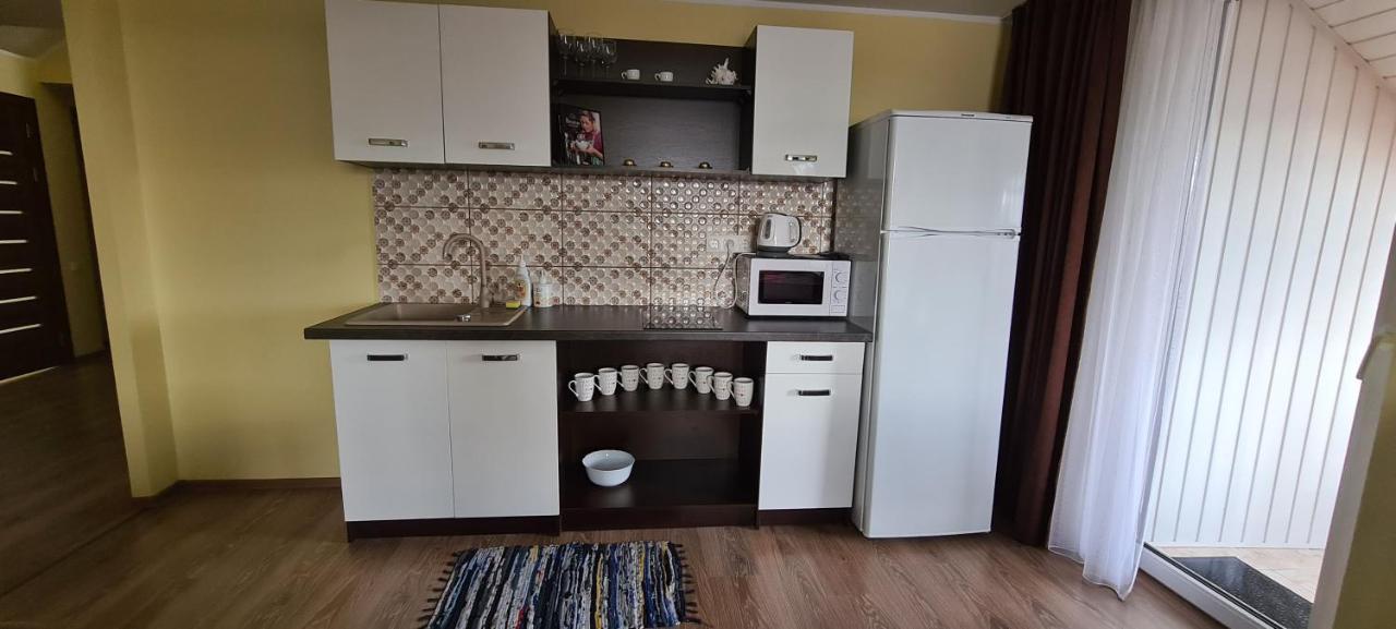 Panevėžys Sauliaus Apartamentai Vip מראה חיצוני תמונה